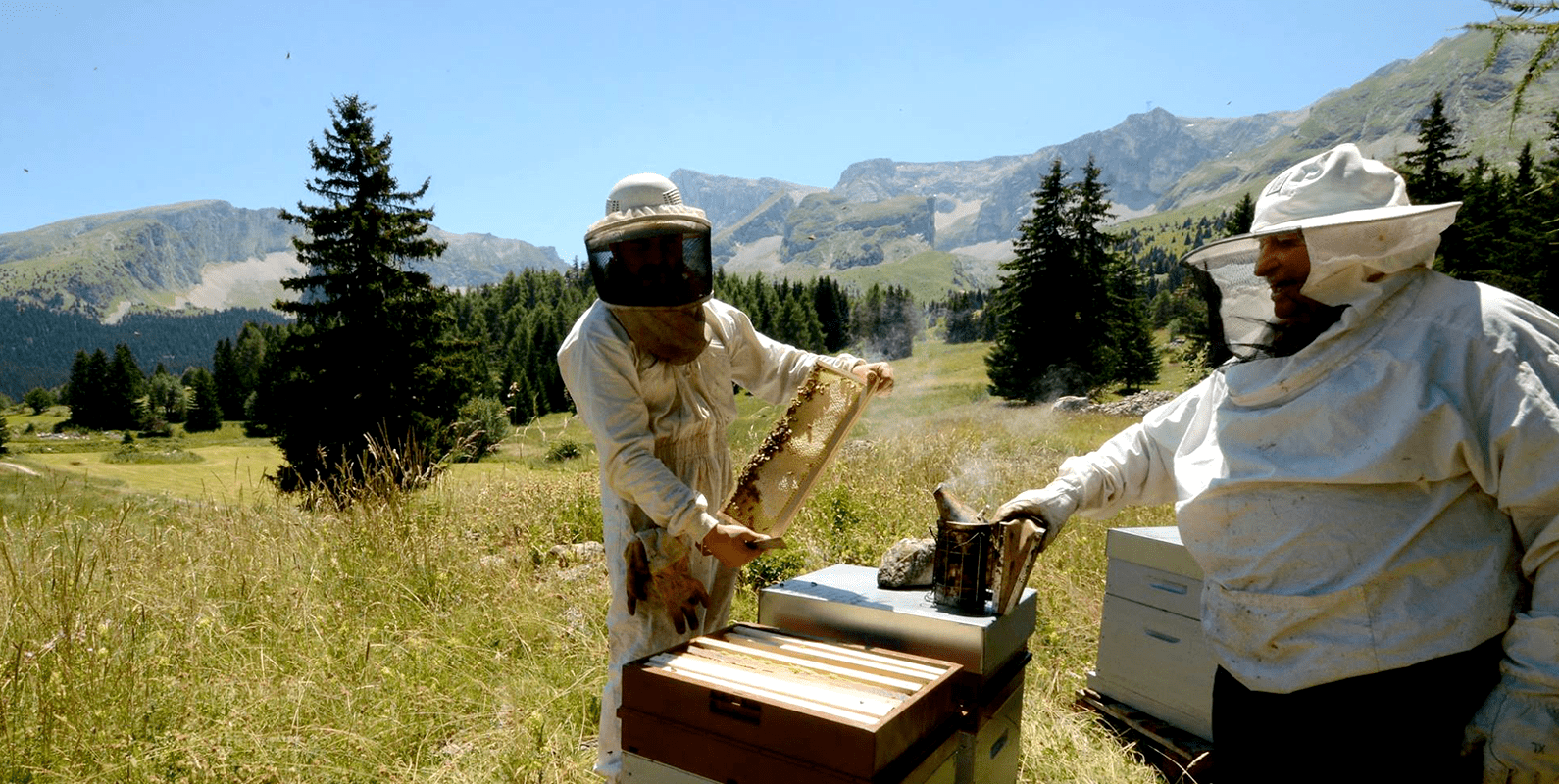 Apiculteur Récoltant Morgan Jaubert